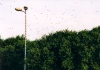 image-035