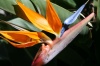3_La-Palma-2006