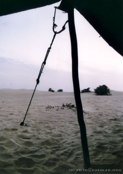 image-128 <p><b>Sahara</b></p>