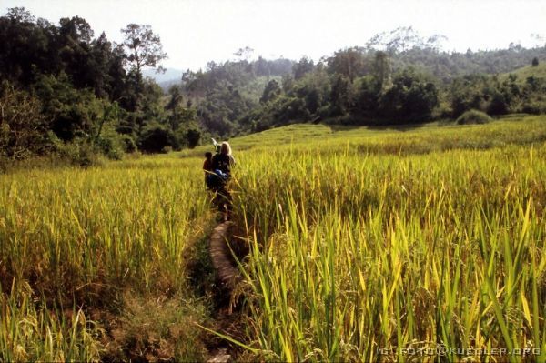 image-243 <p><b>Treckingtour</b></p>