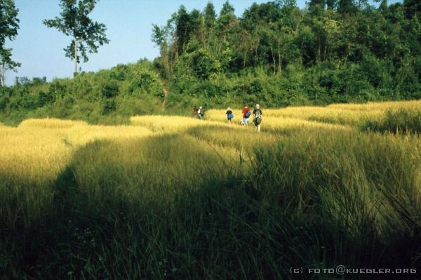 image-257 <p><b>Treckingtour</b></p>