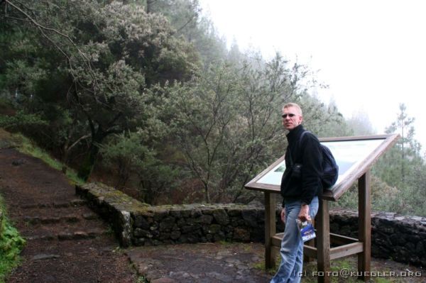 IMG_0358 <p>Hier hätte es laut unserer Wegbeschreibung einen "prächtigen Blick auf die Cumbre Nueva und das Valle Aridane" gegeben.</p>