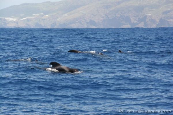 IMG_0589 <p><b>:-)</b></p>