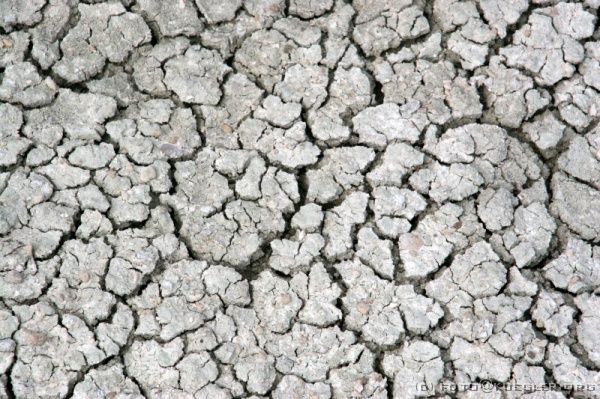 IMG_5036 <P><B>Etosha Nationalpark</B></P>